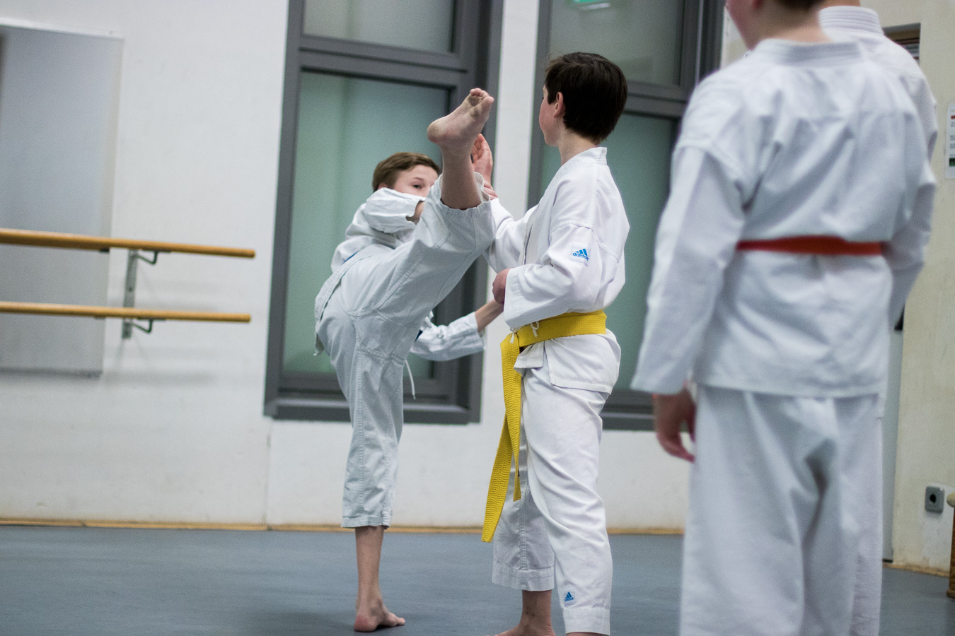 Karate eine effektive Methode zur Selbstverteidigung